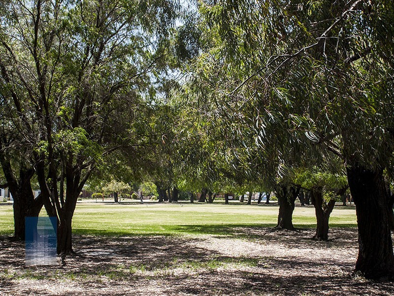 79 Alderley Square, Wilson WA 6107