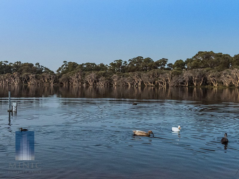 55C Leaside Way, Spearwood WA 6163