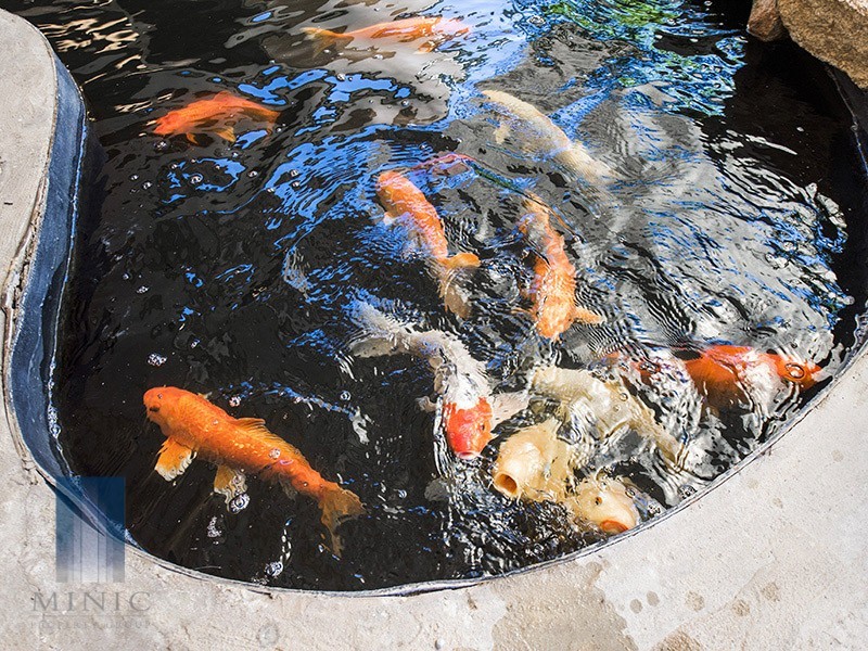 242 High Road, Riverton WA 6148