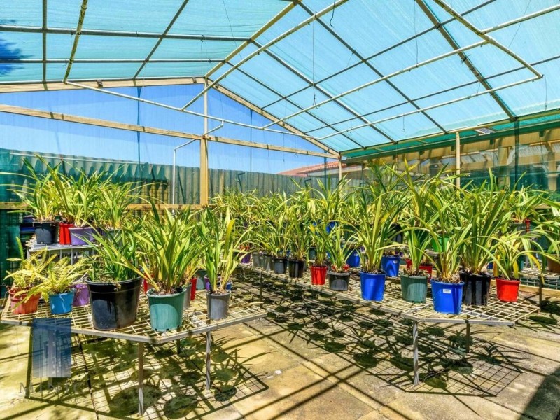 8 Tricourt Grove, Riverton WA 6148