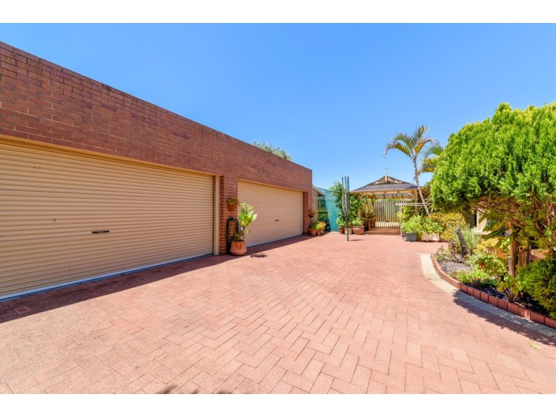 8 Tricourt Grove, Riverton WA 6148