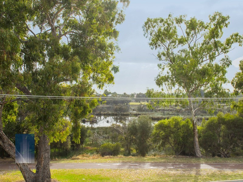 17 Vervain Way, Riverton WA 6148