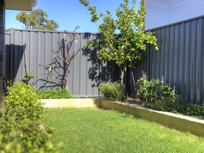 25 Calvert Loop, Hilbert WA 6112