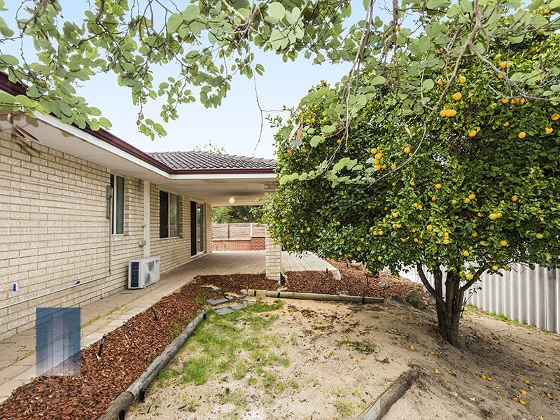 37 Aylesbury Close, Jandakot WA 6164