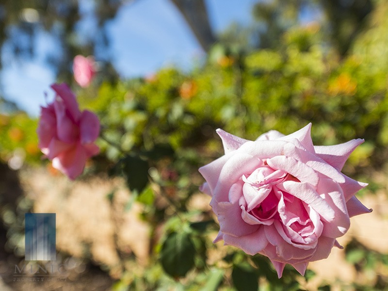 1/9 Cottrill Street, Myaree WA 6154