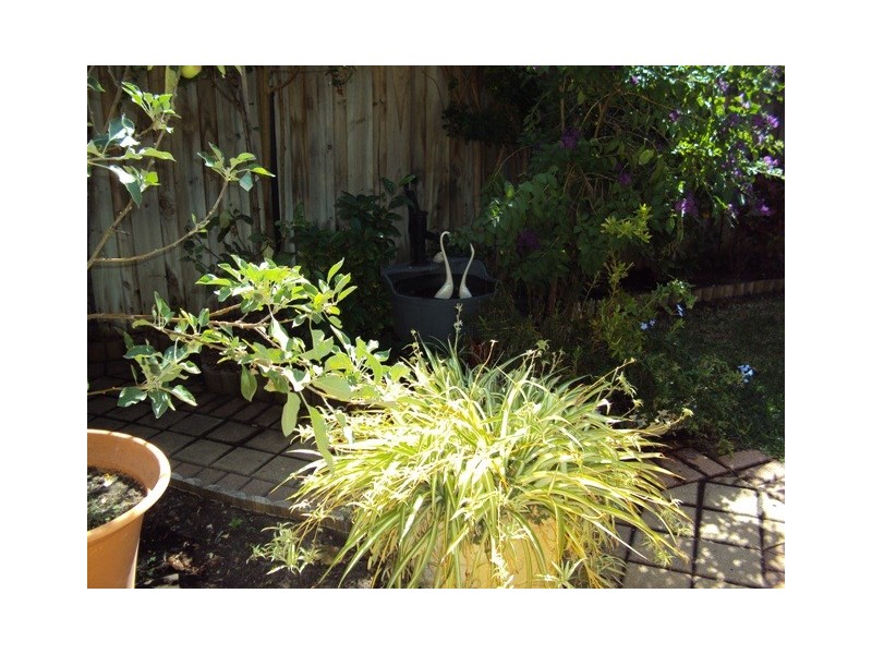 2/48 Tudor Avenue South, Riverton WA 6148