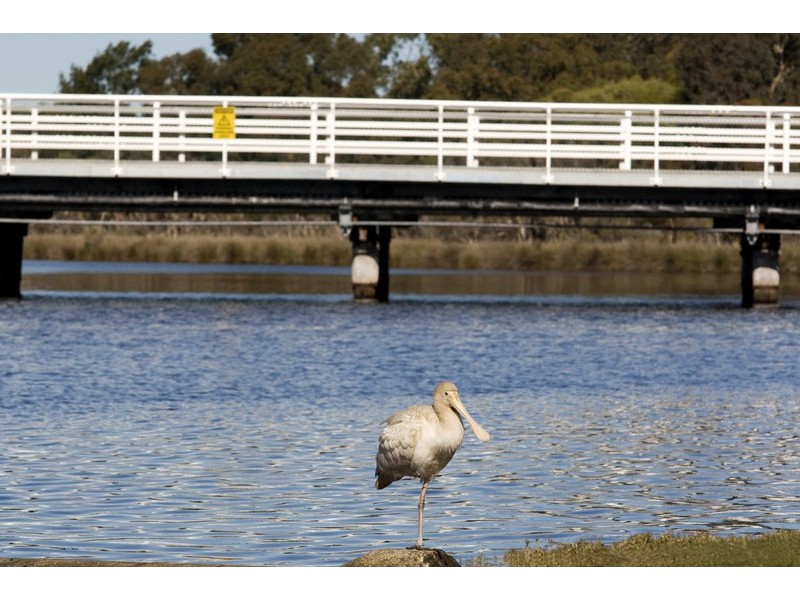 8/24 Marjorie Avenue, Shelley WA 6148