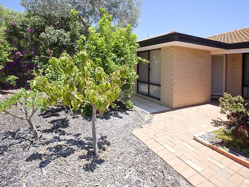 7 Bridge Street, Wilson WA 6107