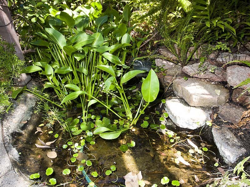 87  Clydesdale street, Como WA 6152