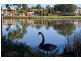 25 Surrey Road, Wilson WA 6107