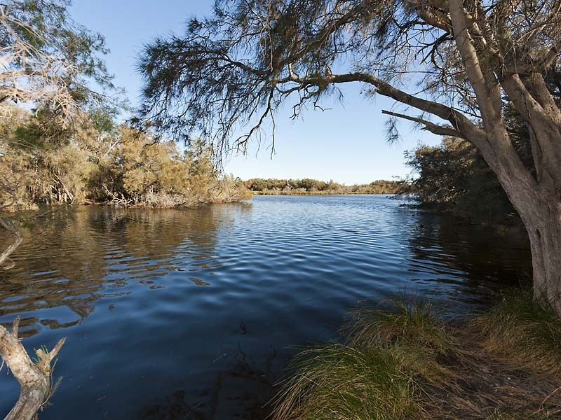 59 Braibrise Road, Wilson WA 6107