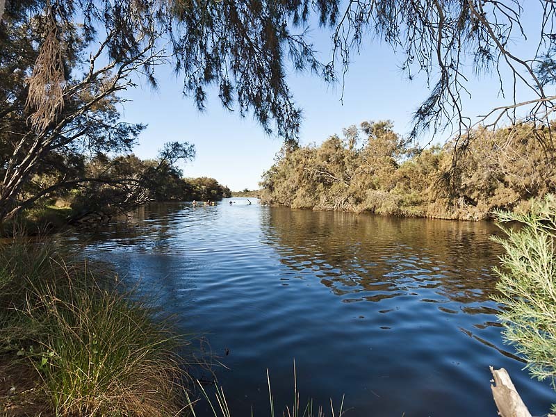 59 Braibrise Road, Wilson WA 6107