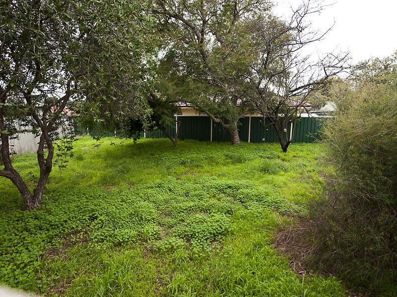 118 Walpole Street, Bentley WA 6102