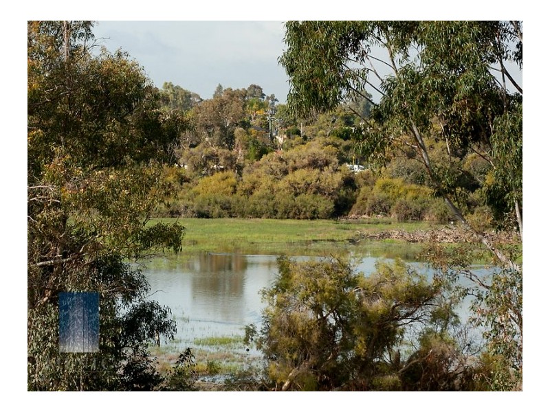 7/36 Shadbolt Street, Booragoon WA 6154