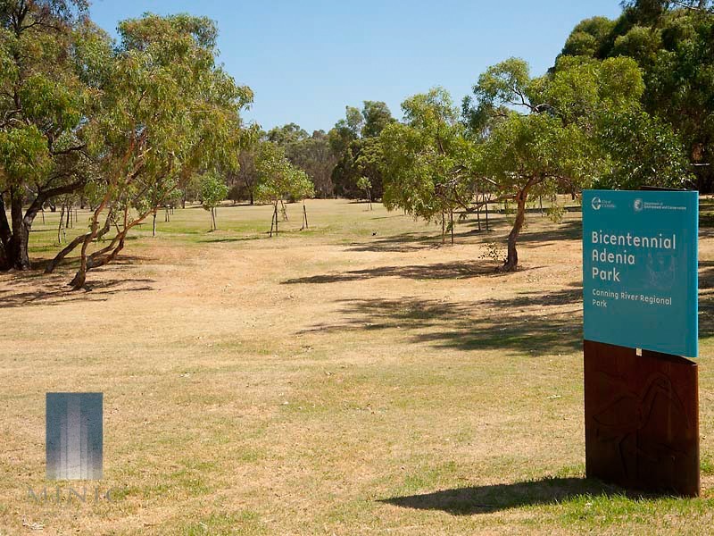 2 Cobalt Place, Riverton WA 6148