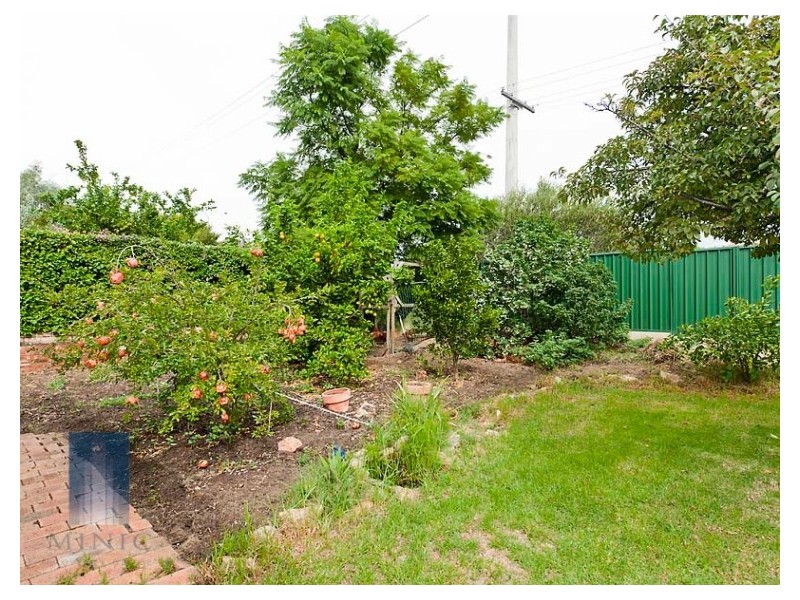 11 Bersica Court, Kardinya WA 6163