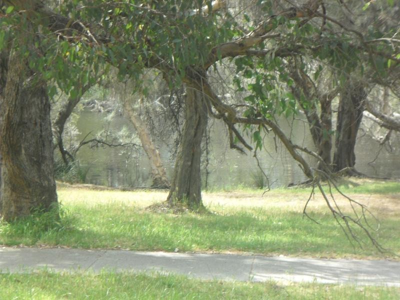 23 Willcock Street, Ferndale WA 6148