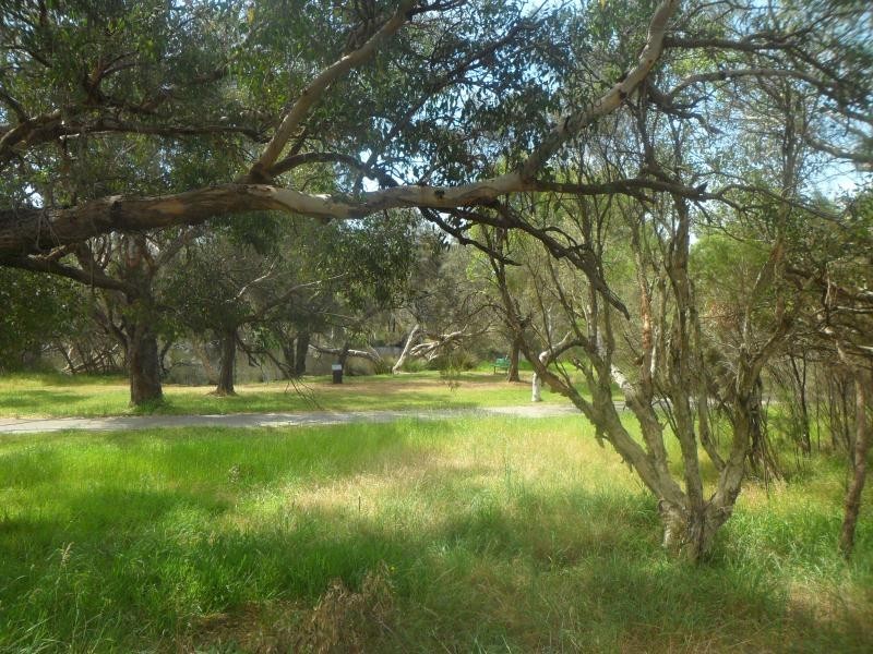 23 Willcock Street, Ferndale WA 6148