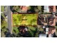 7 Parkhill Way, Wilson WA 6107