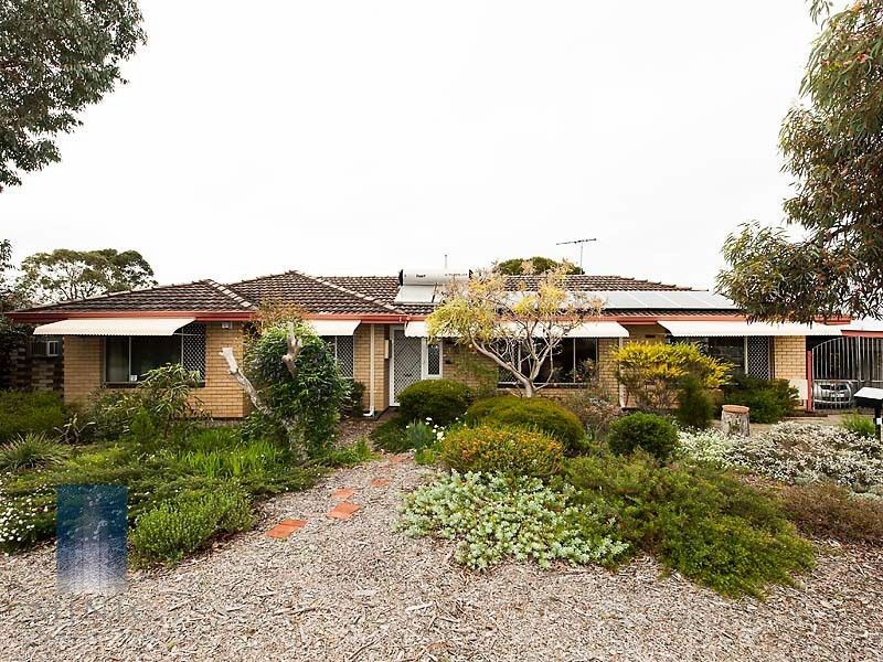 3 Dalton Place, Wilson WA 6107