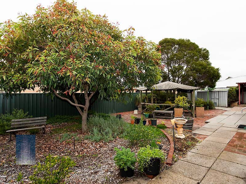 3 Dalton Place, Wilson WA 6107