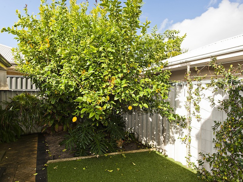 2/13 Parsons Avenue, Manning WA 6152