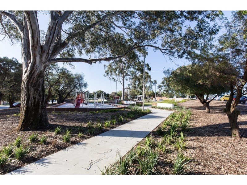 16 Page Avenue, Bentley WA 6102