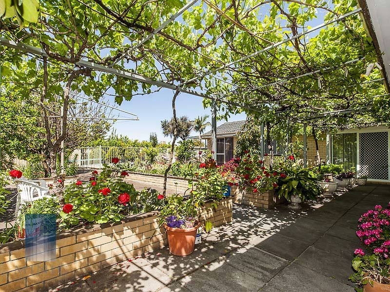 6 Verbena Road, Willetton WA 6155