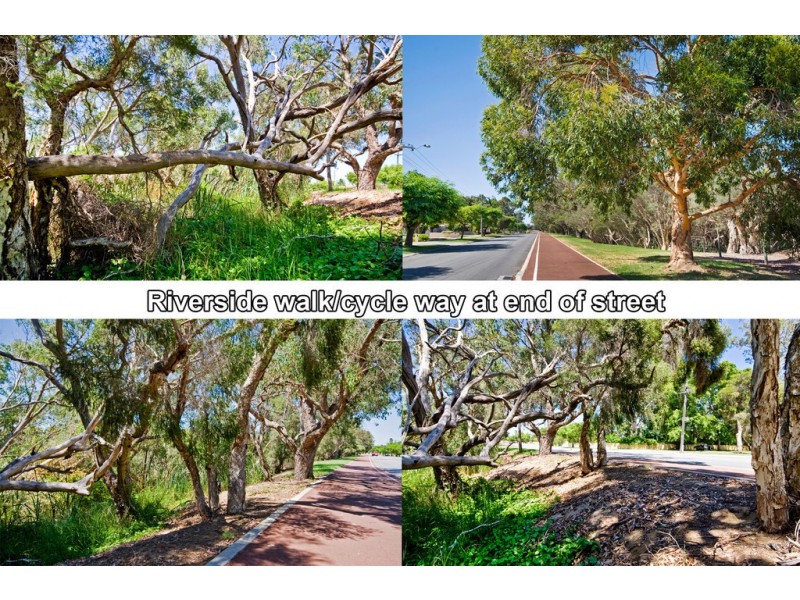 53 Braibrise Road, Wilson WA 6107