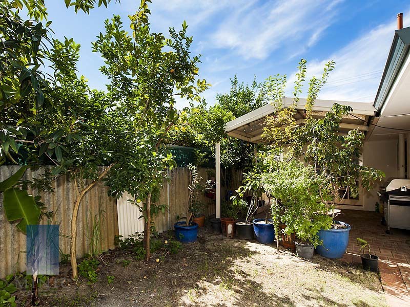 77 Modillion Avenue South, Shelley WA 6148