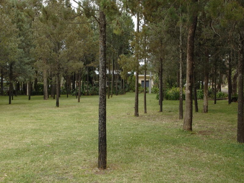 85 Mallinson Road, Griffith NSW 2680