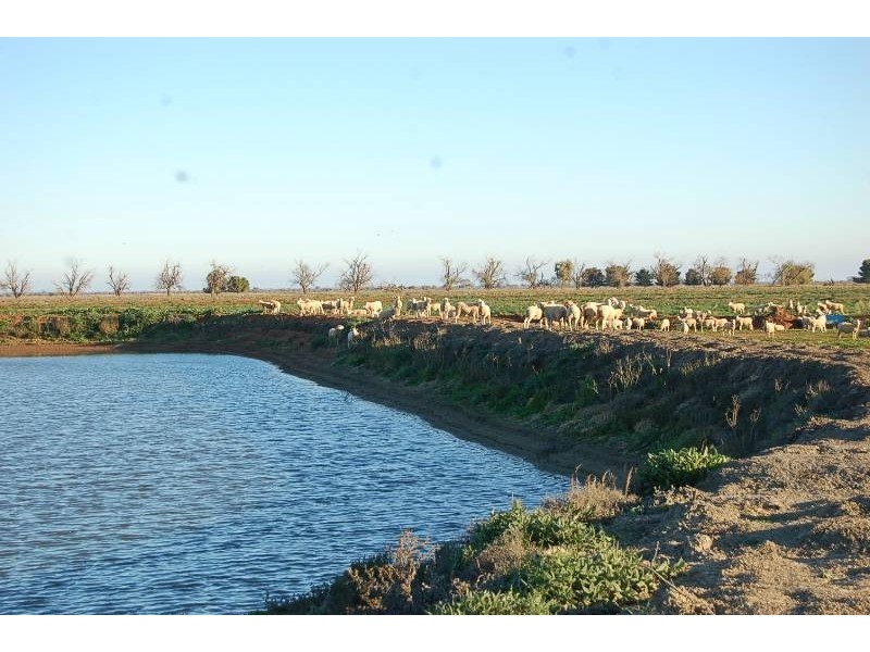 Farm 634 McLarty, Coleambally NSW 2707