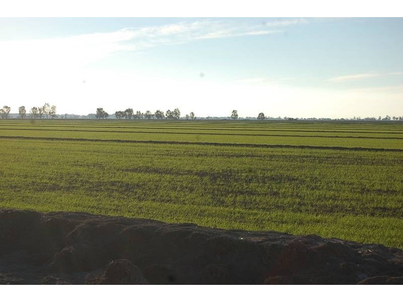 Farm 634 McLarty, Coleambally NSW 2707