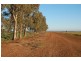 Farm 634 McLarty, Coleambally NSW 2707