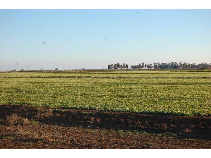 Farm 634 McLarty, Coleambally NSW 2707