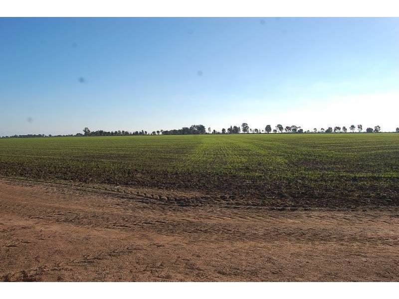 Farm 588 Gilbert Road, Coleambally NSW 2707