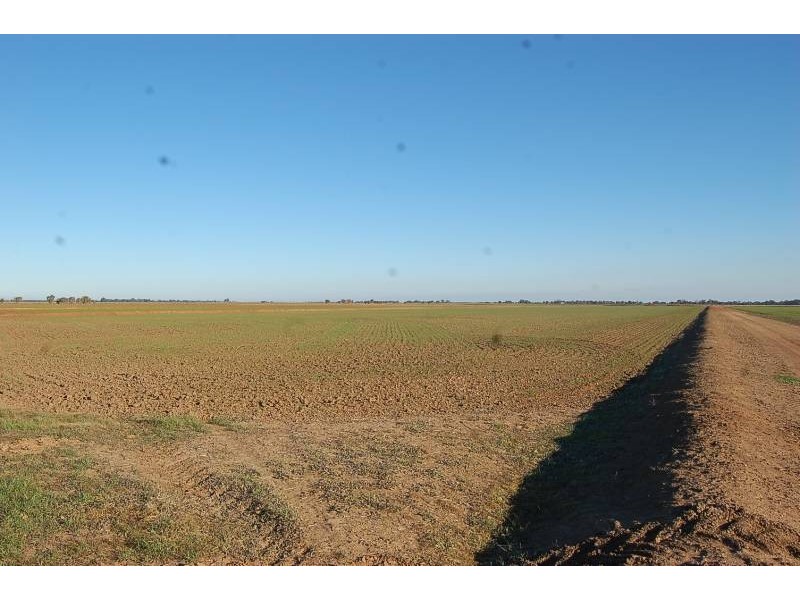 Farm 588 Gilbert Road, Coleambally NSW 2707