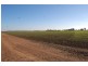 Farm 588 Gilbert Road, Coleambally NSW 2707