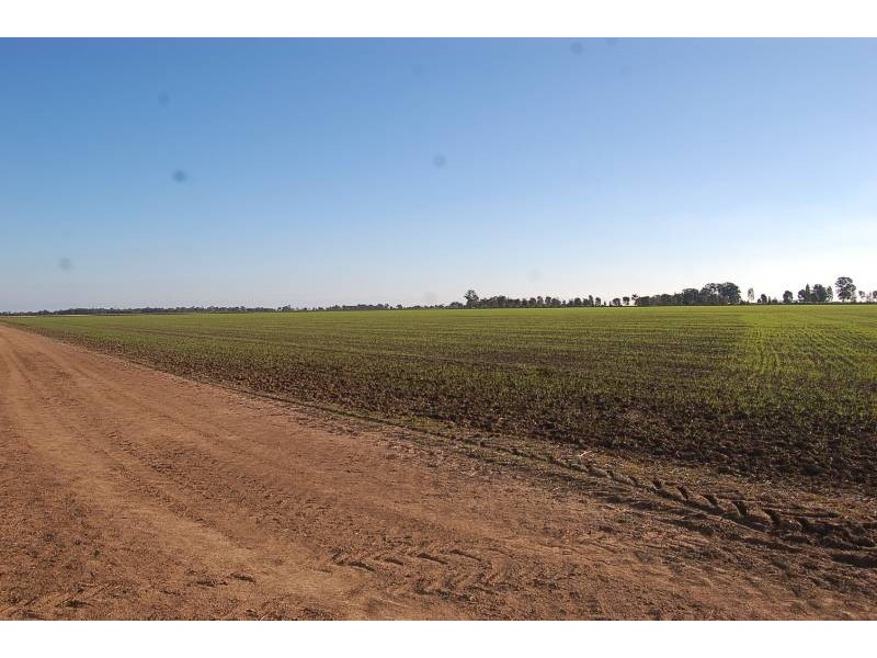 Farm 588 Gilbert Road, Coleambally NSW 2707