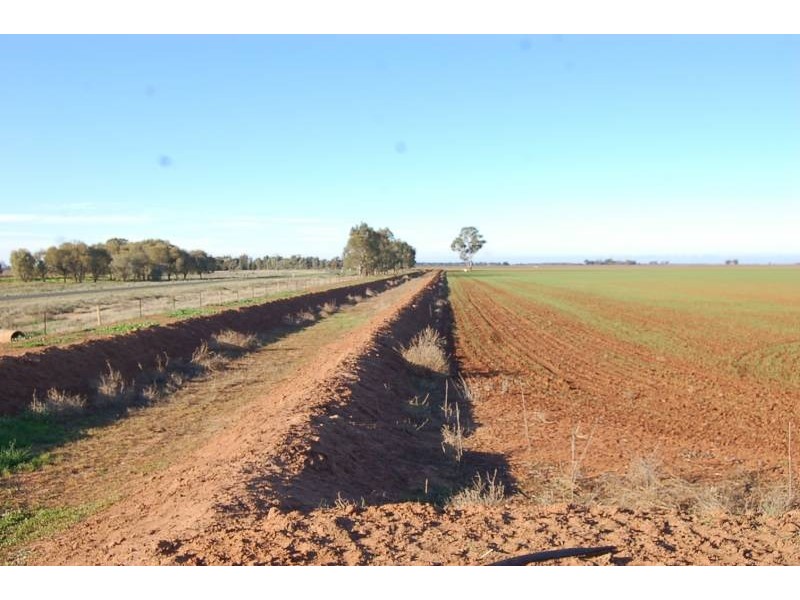 Farm 588 Gilbert Road, Coleambally NSW 2707