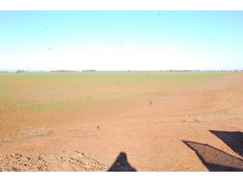 Farm 588 Gilbert Road, Coleambally NSW 2707