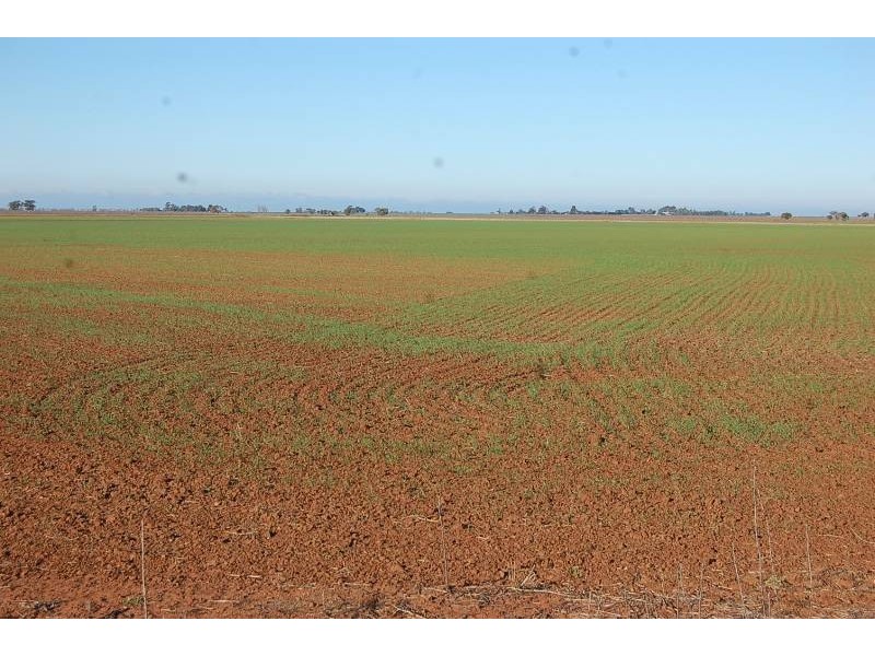 Farm 588 Gilbert Road, Coleambally NSW 2707