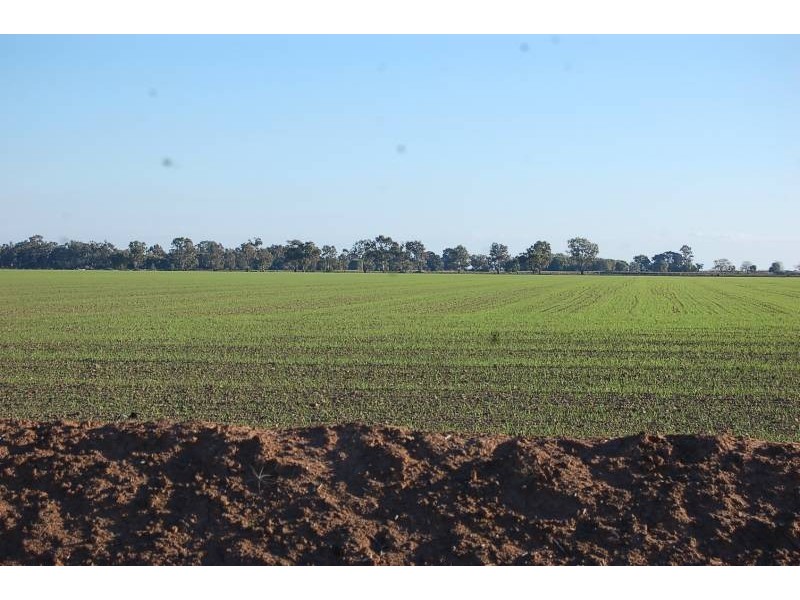 Farm 588 Gilbert Road, Coleambally NSW 2707