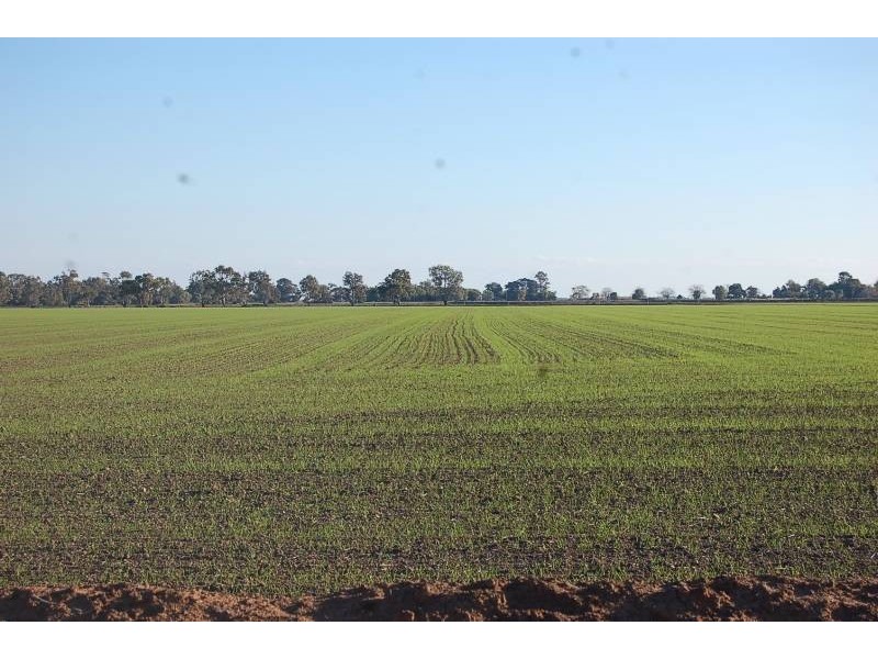 Farm 588 Gilbert Road, Coleambally NSW 2707