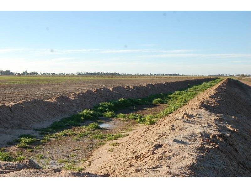 Farm 588 Gilbert Road, Coleambally NSW 2707