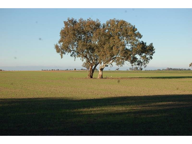 Farm 588 Gilbert Road, Coleambally NSW 2707