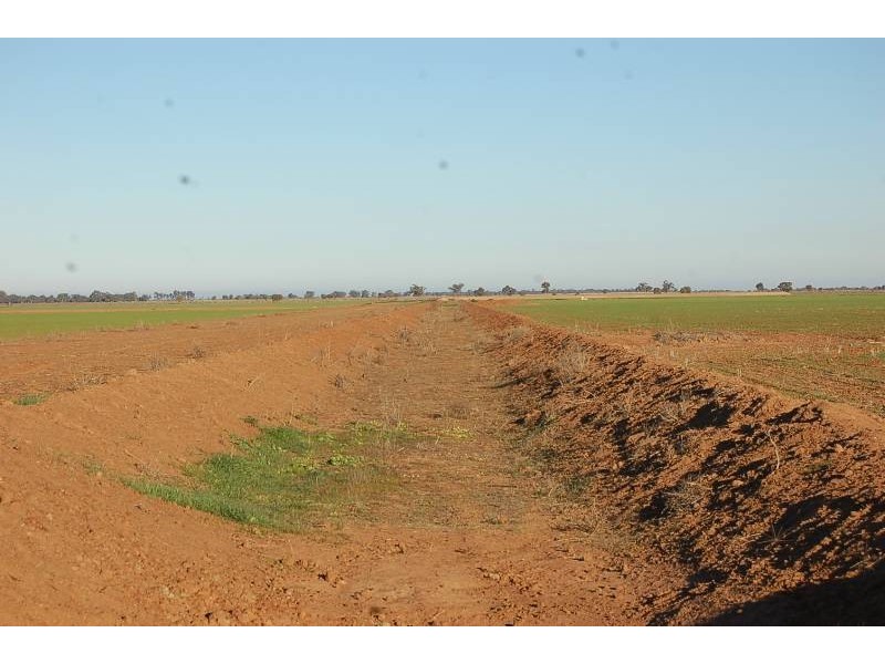 Farm 588 Gilbert Road, Coleambally NSW 2707