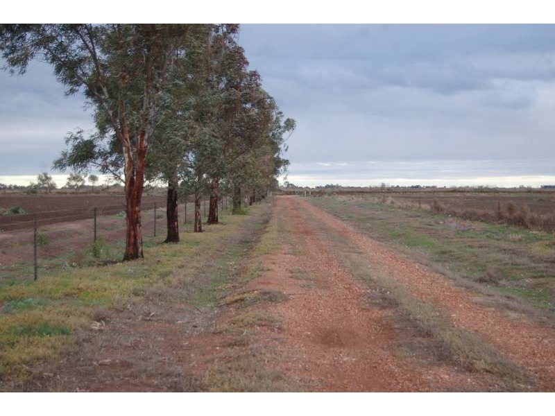 Farm 371 Cnr Condon and Mirrool Branch Canal Roads, Bilbul NSW 2680