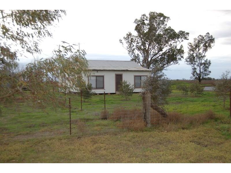 Farm 371 Cnr Condon and Mirrool Branch Canal Roads, Bilbul NSW 2680