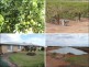 Widgelli NSW 2680